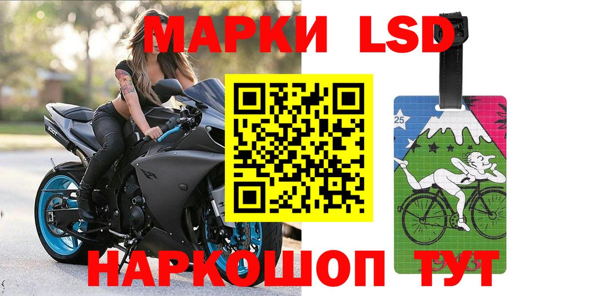 Меф Бердск
