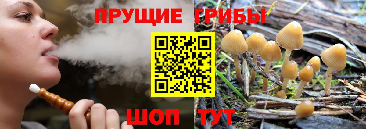 Псилоцибиновые грибы ЛСД  Вход с VPN  Галлюциногенные грибы прущие грибы  Бердск 